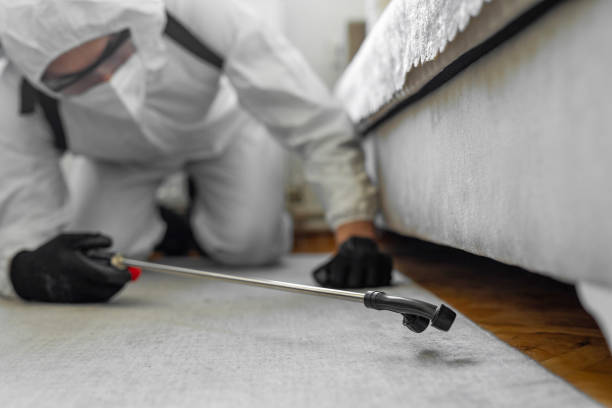 Professional Pest Control technician working in Hampton, IA
