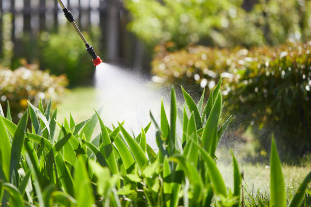 24/7 Emergency Rodent Control experts in Hampton, IA