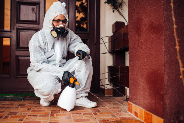 Reliable Rodent Control contractor in Hampton, IA by Nex Pest Control