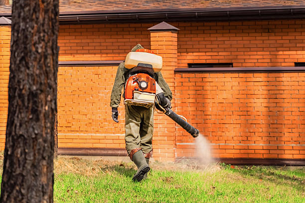 Trusted Rodent Control service in Hampton, IA - Nex Pest Control